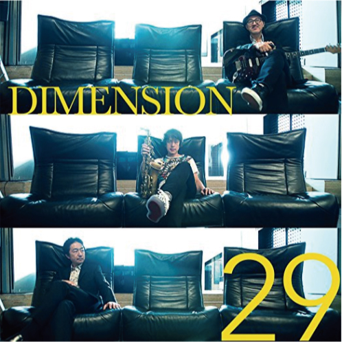 Dimension 29
