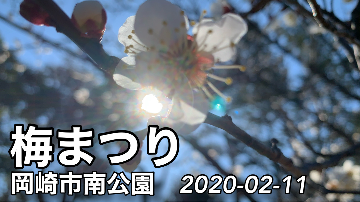 梅まつり　2020-02-11