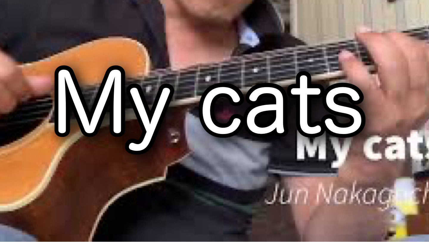 【MY CATS】My cats 弾き語り　 自分の曲です♪アコギで歌ってみました。