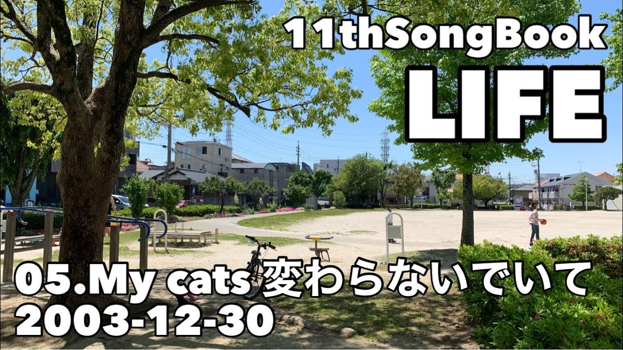 まだまだ続くマイナンバー。 ｜My cats 変わらないでいて｜Life（11th Song Book）