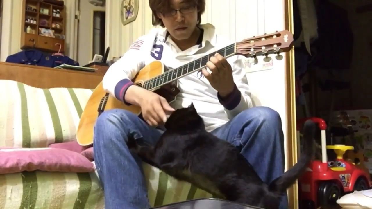 【MY CATS】　この作曲という遊びはやめられないですね。2016年12月11日