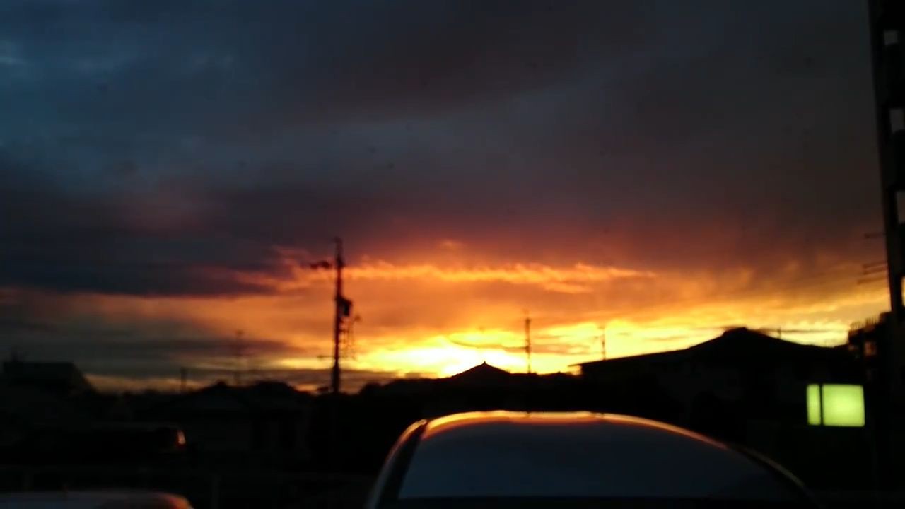 雨上がり 空に舞う鳥 夕陽差す