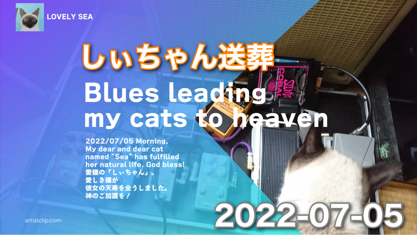 送葬の演奏です。自分の曲に【My Cats】という曲が