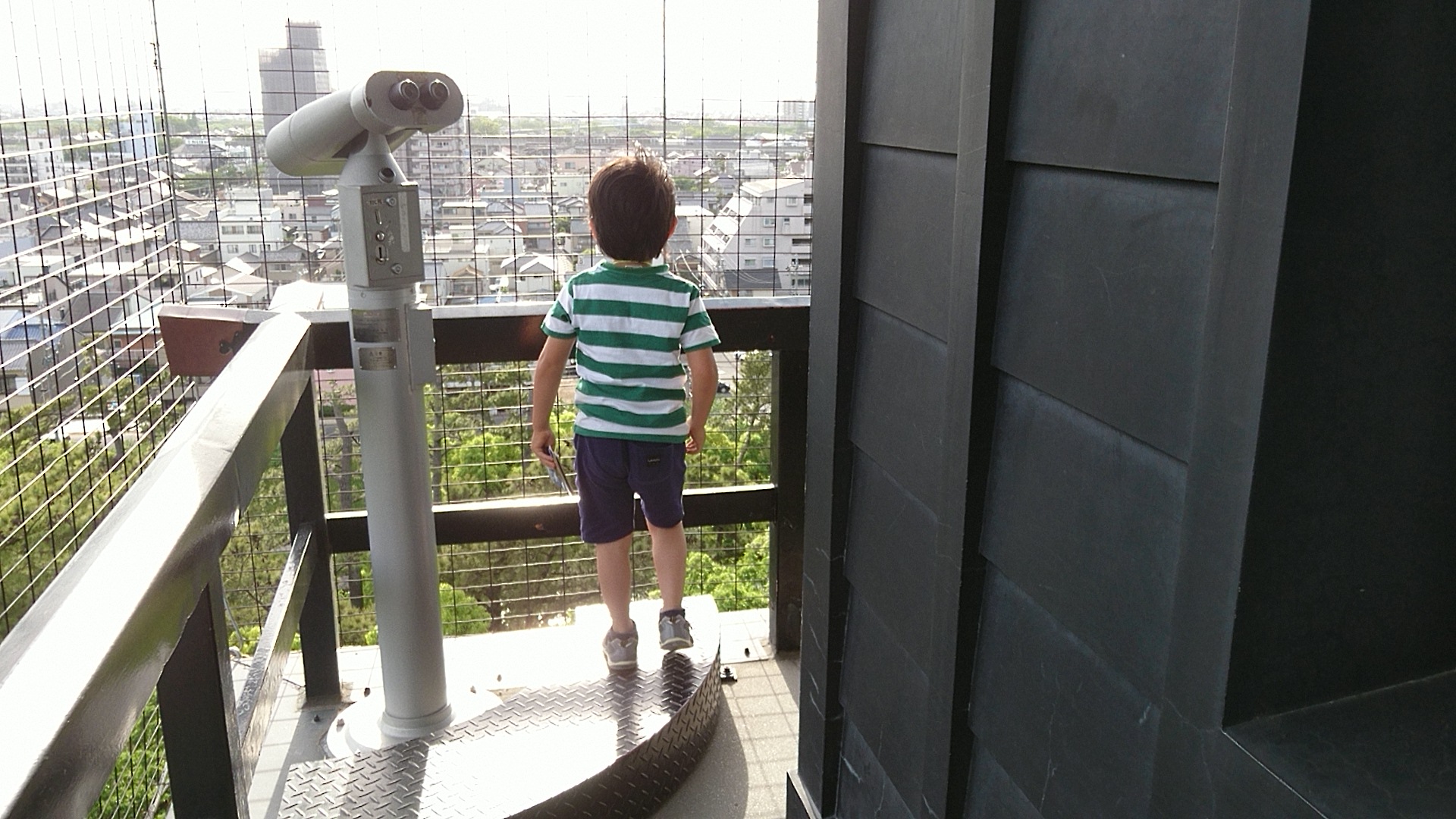 かなり走った。息子が念願の岡崎城へ。