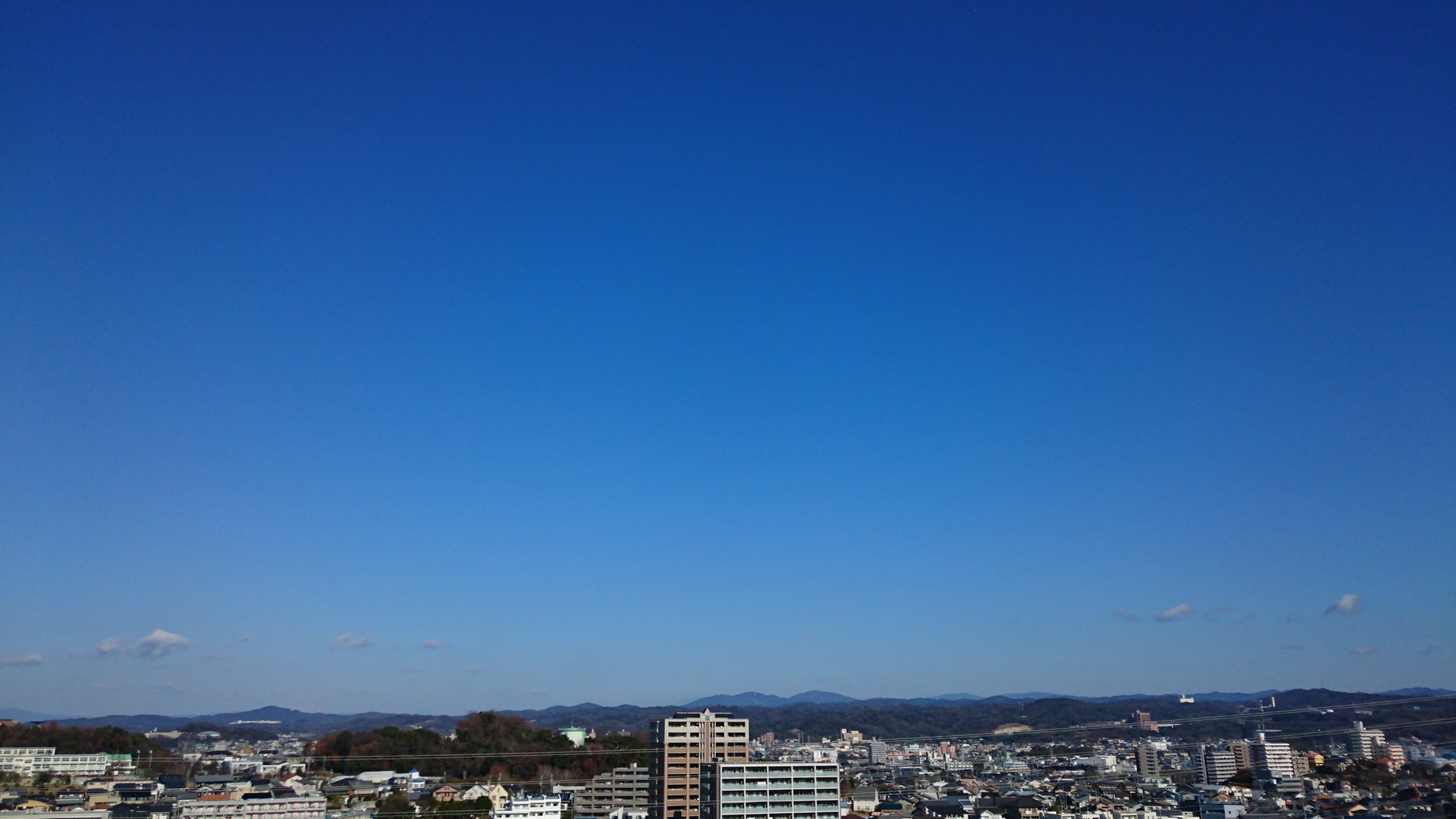 新年　2017年元旦