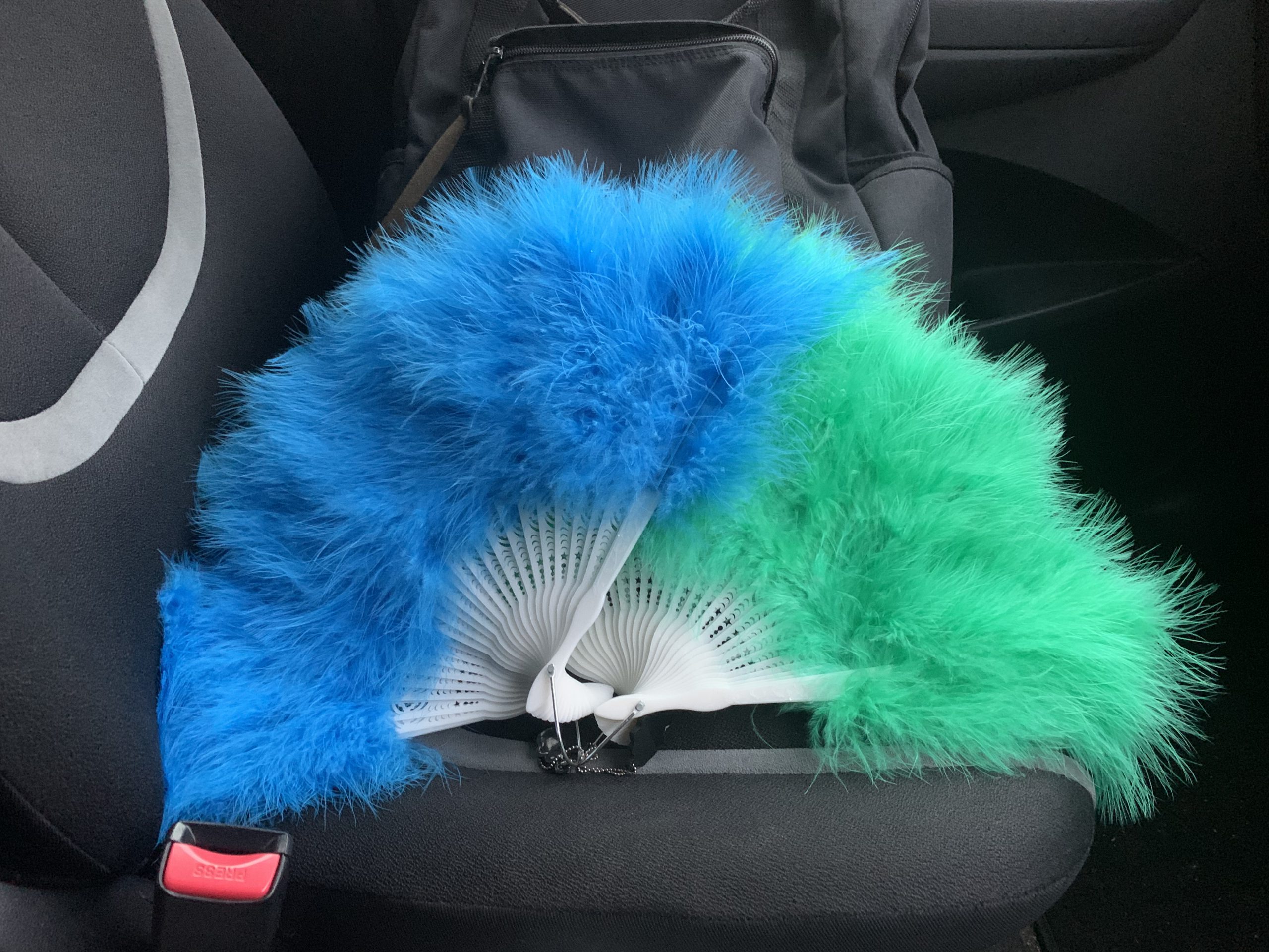 ハカセンス｜葉加瀬太郎