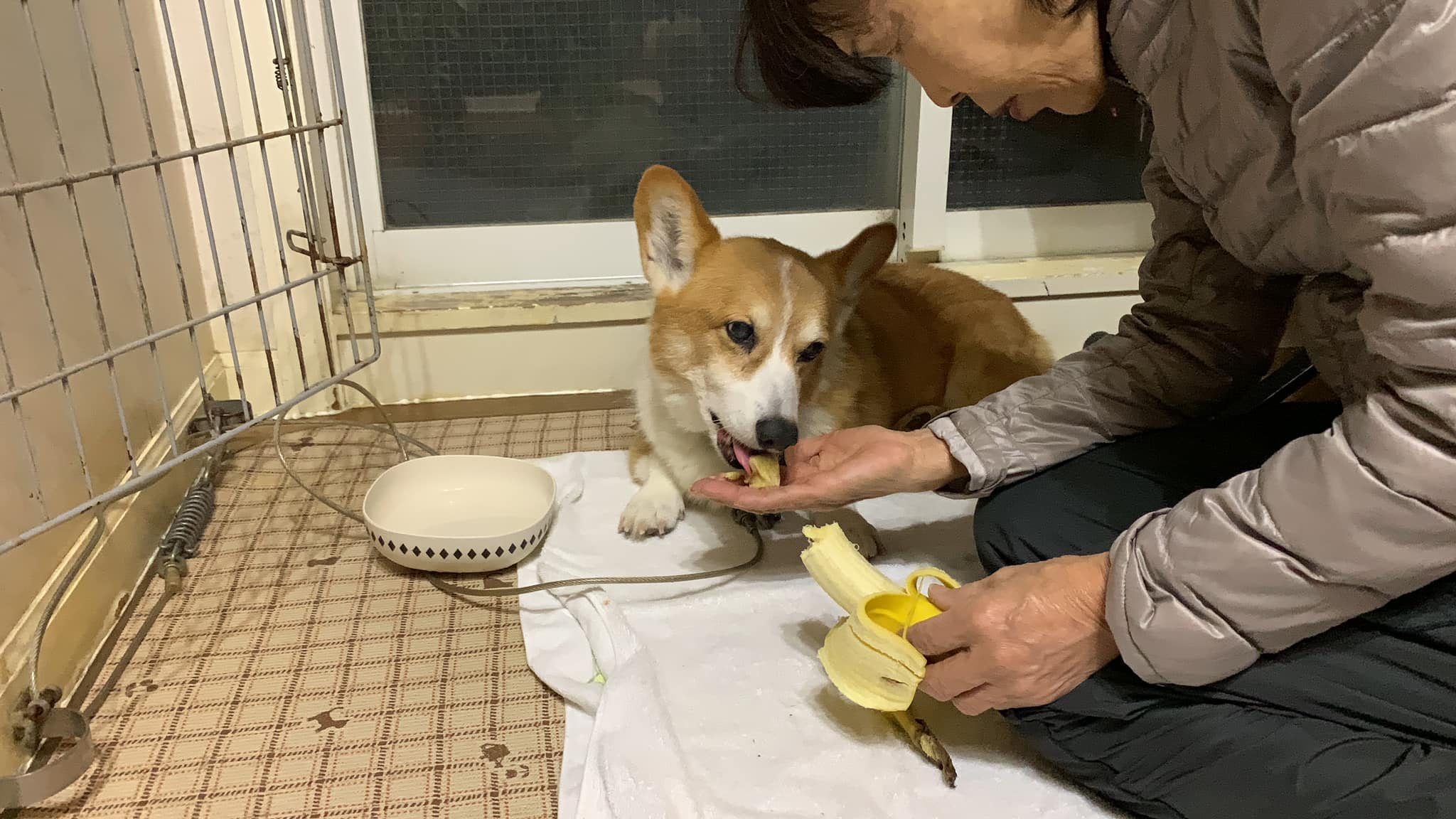 2020-01-11｜りく｜邦美さん｜001