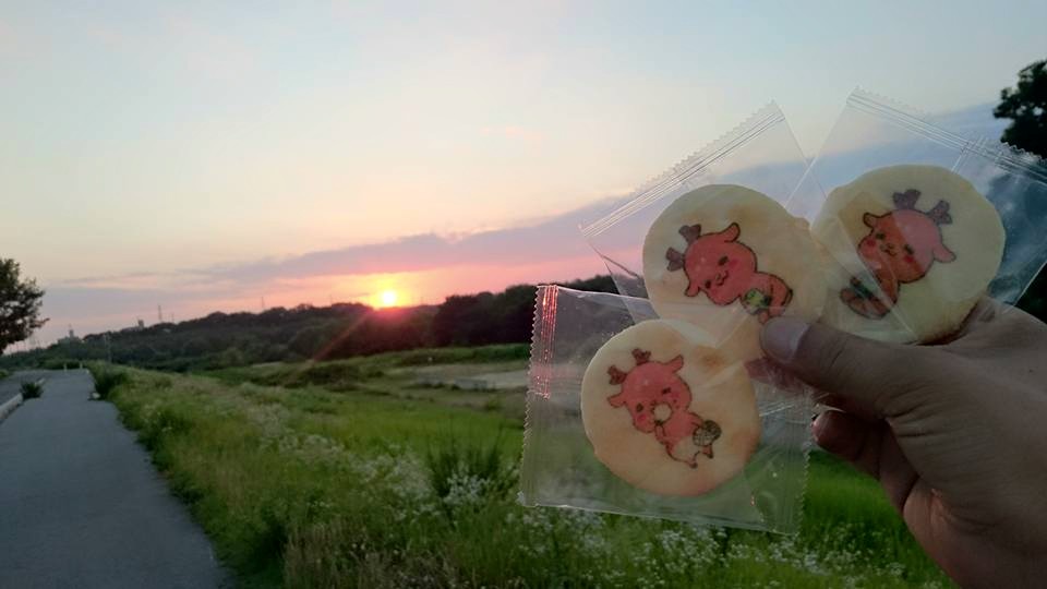 しかまろ｜奈良に行ったスタッフのオミヤゲヲありがたーく頂きまーす♪｜2015-06-29