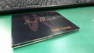 "Fire" by Buzz Wizards｜2015-07