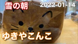 ゆきやこんこ 雪の朝、です。